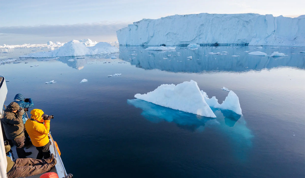 Stories That Stay: Unforgettable Moments Through the Eyes of Guests