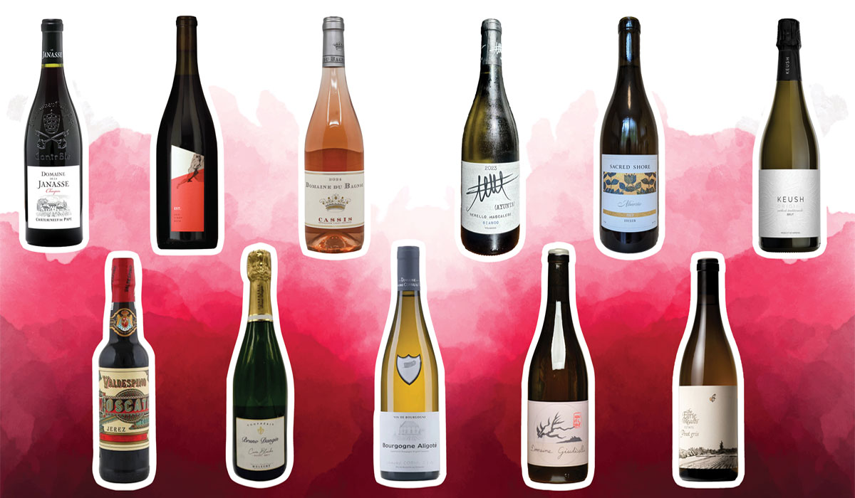 From Soil to Glass! The Fascinating Secret That Makes Great Wines Unique